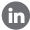 LinkedIn Icon