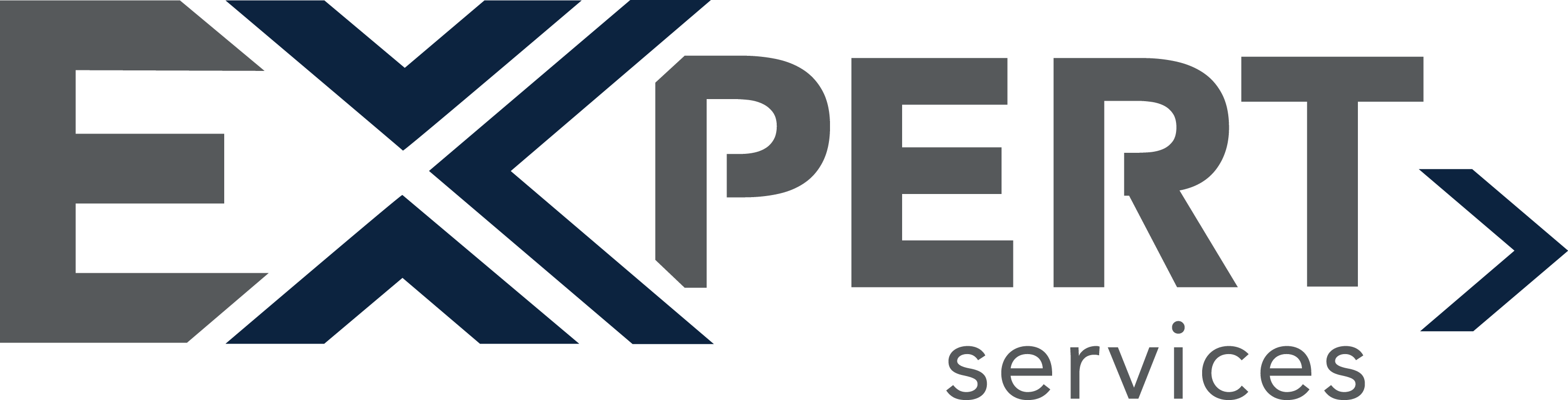 EXpert-Services-Logo-Large